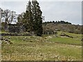 SH7755 : Grassland in front of the ruined houses by David Medcalf