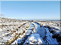 NZ0141 : Estate road passing below summit of Collier Law by Trevor Littlewood