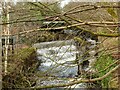 NS5574 : Weir and fish ladder by Richard Sutcliffe