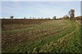 TL4719 : Farmland near Bishop's Stortford by Bill Boaden