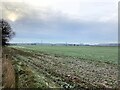 SK5631 : Frozen Fields at Ruddington Moor by Jonathan Clitheroe