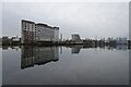 TQ4180 : Across Royal Victoria Dock from ExCeL by DS Pugh