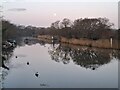 SZ1492 : Full moon at daybreak, River Stour, Christchurch by Malc McDonald