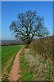 SJ9022 : Footpath to Derrington by Rod Grealish