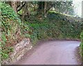 SX7663 : Bend in lane, Velwell by Derek Harper