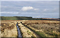 NY9753 : Estate road crossing moorland by Trevor Littlewood