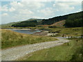 SN7386 : Cattle-grid, by Nant-y-Moch by Nigel Callaghan