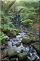 NZ0749 : Wharnley Burn Water Fall by Dennis Lovett