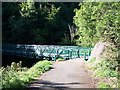 NS3174 : Footbridge in Devol Glen by william craig