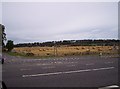  : Field of Bales by Dominic Dawn Harry and Jacob Paterson