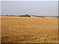 SE9734 : Farmland View by Andy Beecroft