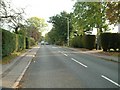 SU7674 : Butts Hill Road, Woodley Green by Colin Bates