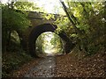 NZ9402 : Bridge over disused railway by Lis Burke