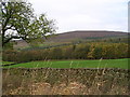  : View towards Strid Wood & Barden Fell by David Grimshaw