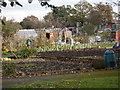 SP1583 : Allotment Gardens at Hatchford Brook, Sheldon by peter lloyd