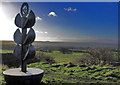 NZ3863 : Linnet Way at Cleadon by Mark Richards