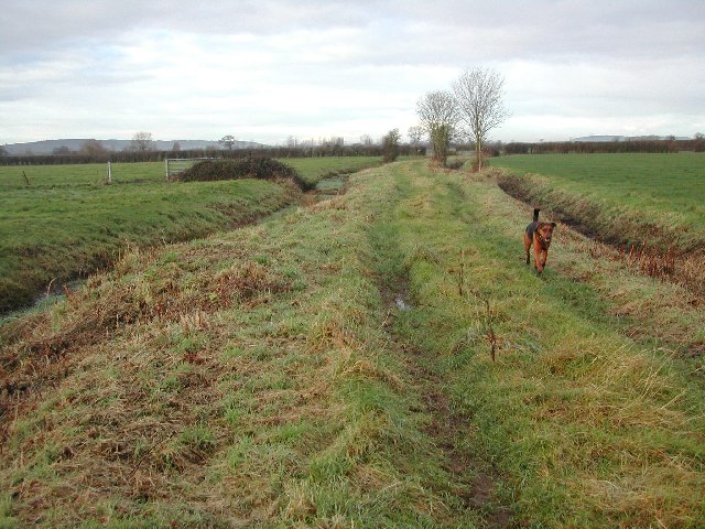 Moor Drove on the wetland levels south of Congresbury