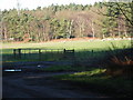 SU9064 : Farmland east of Rapley Lake by Andrew Smith