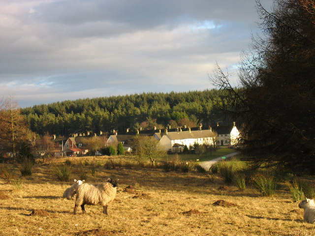 Stonehaugh, Wark Forest