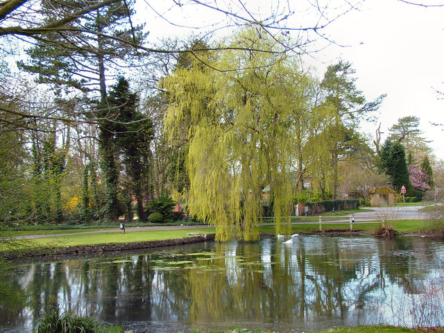 Harmer Green Village Pond