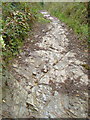 SX7563 : Green lane near Velwell by Derek Harper