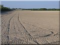  : Farmland west of Exning, Suffolk by Rodney Burton