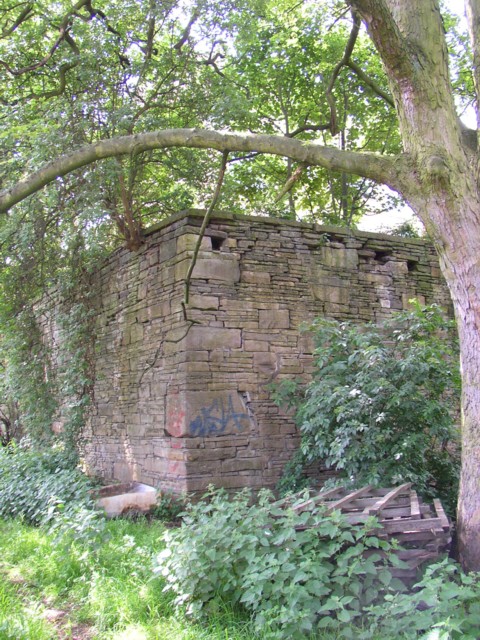 Corner of wall to former mill reservoir off Spout Hill, Rastrick