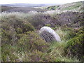  : Boundary Stone looking down Hole Syke by tim