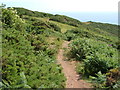 SX8748 : Coast path near Warren Point by Derek Harper