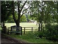 SU5238 : Entrance to Butcher's Copse off the A33 by Peter Jordan