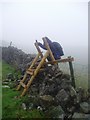  : New stile over the crest wall on the ridge between Littondale and Wharfedale. by Ray Woodcraft