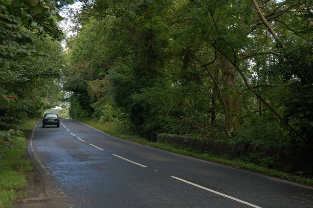 The Finnebrogue Bridge near Downpatrick