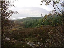  : Allt Lochan nan Geadas by Lis Burke