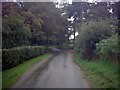 TM3879 : Wash Road, Spexhall by Geographer