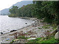  : Loch Lomond Shore by Iain Thompson