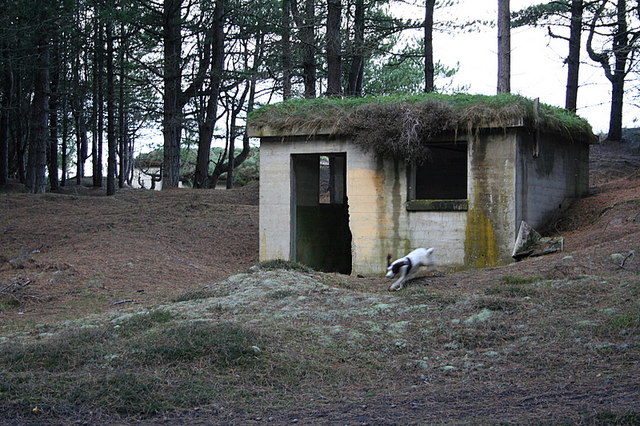 Second World War control bunker on the Moray coast.