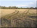 NT8743 : Stubble field by Walter Baxter