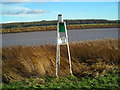 SE8516 : Looking across the River Trent by Iain Macaulay