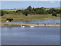 TA1080 : Filey Dams Nature Reserve by Peter J Dunn