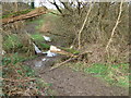 SK2935 : Muddy path over the stream by John Poyser