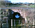 NY3851 : Railway Bridge near Thurnam Wood by Adrian Taylor