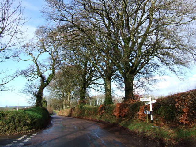 Station Road, near The Knole, Bridestowe