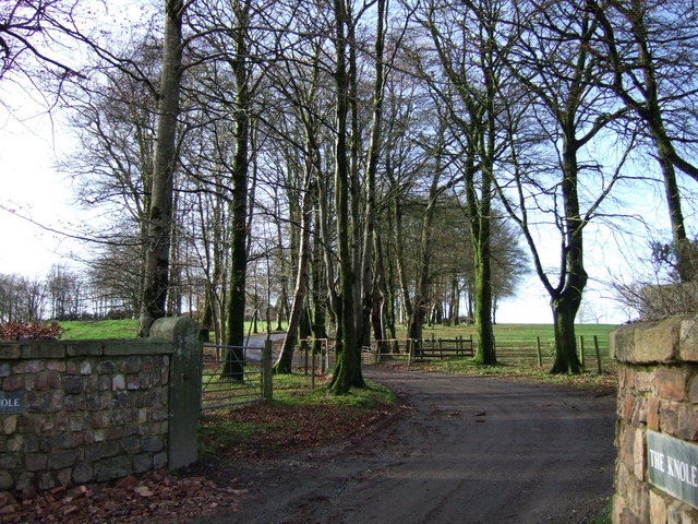 Driveway to The Knole