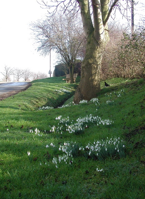 Back Lane, Danthorpe