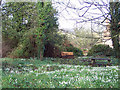 SU1225 : Picnic table amongst the snowdrops in Homington by Maigheach-gheal