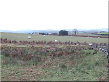  : Pasture-moorland edge by Jonathan Billinger