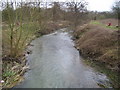 TL4821 : River Stort in Bishop's Stortford by Nigel Cox