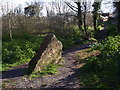 SX9265 : Stone in Millennium Green, St Marychurch by Derek Harper