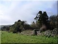 SX8856 : Gate, Churston Common by Tom Jolliffe