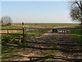  : Gate and Stile by Richard Mudhar